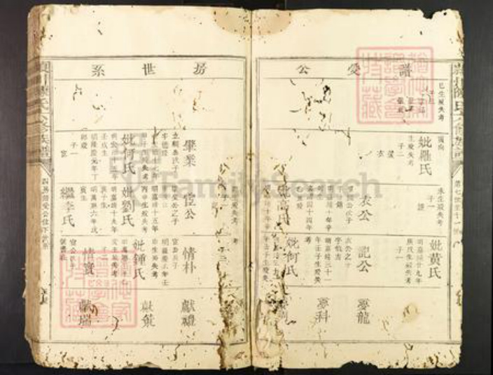 广东省陈氏族谱-颕川陈氏六修族谱.pdf电子版插图5