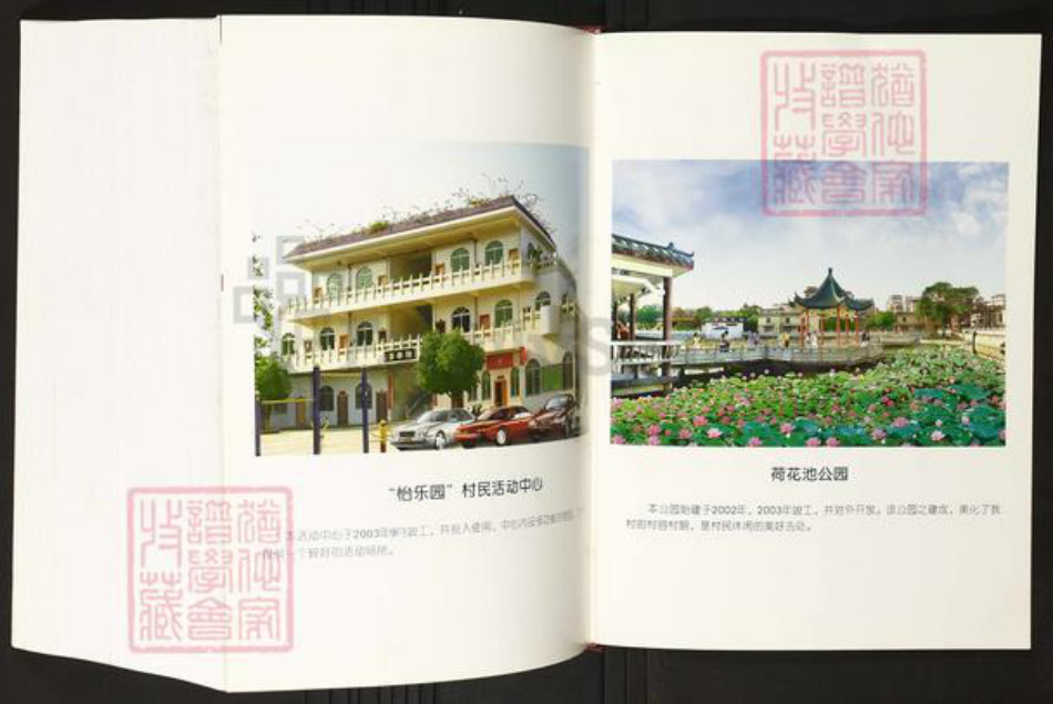 广东省佛山市禅城区陈氏族谱-莲塘陈氏族志.pdf电子版插图3