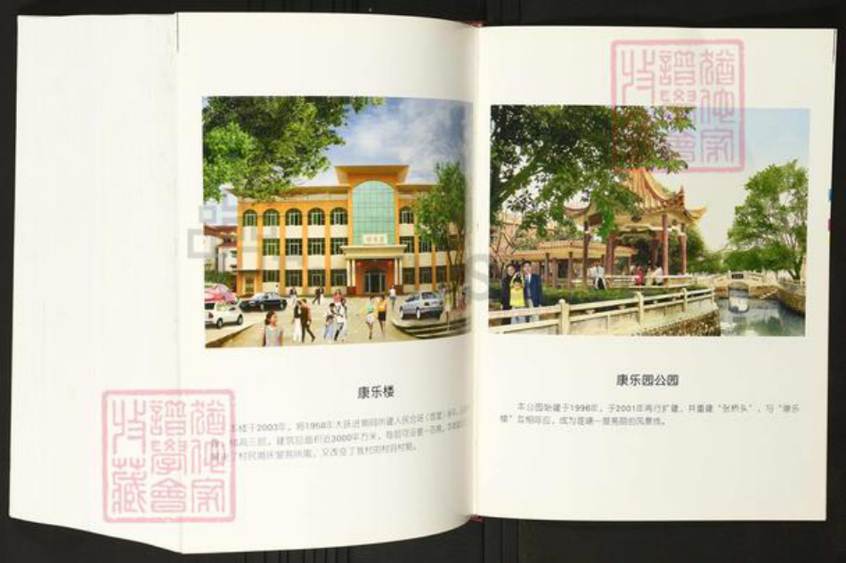 广东省佛山市禅城区陈氏族谱-莲塘陈氏族志.pdf电子版插图4
