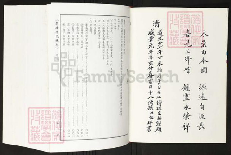 广东省佛山市禅城区陈氏族谱-莲塘陈氏族志.pdf电子版插图5