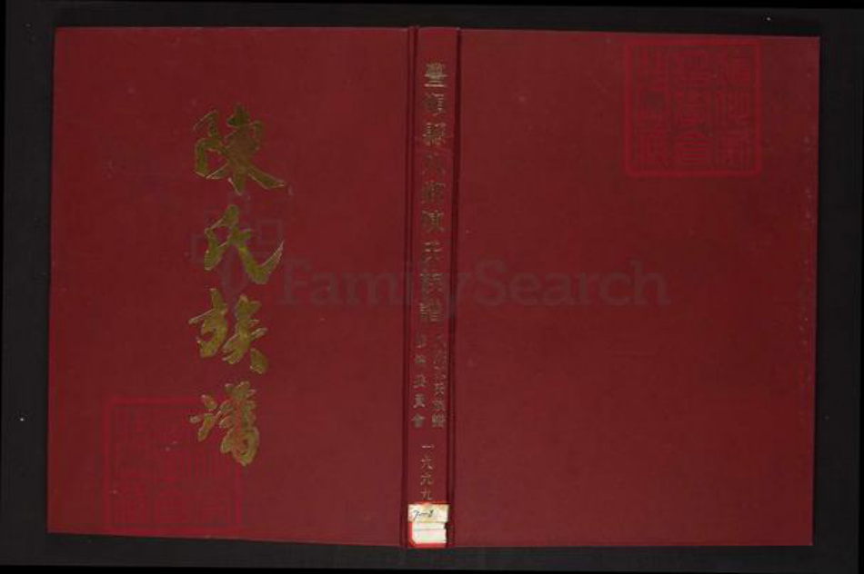 广东省梅州市丰顺县陈氏族谱-丰顺县八乡陈氏族谱.pdf电子版插图