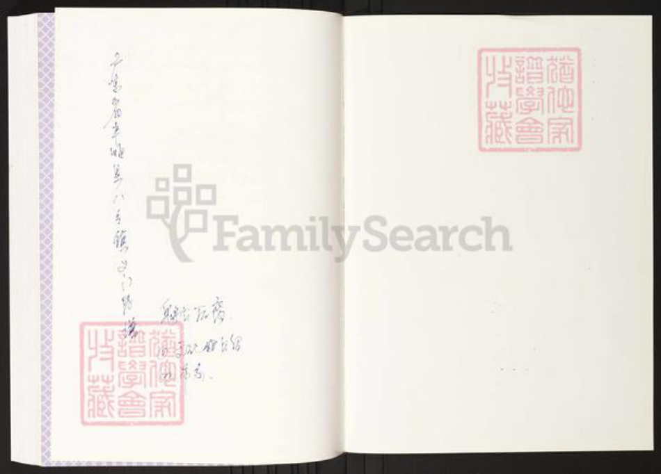 广东省梅州市丰顺县陈氏族谱-丰顺县八乡陈氏族谱.pdf电子版插图1