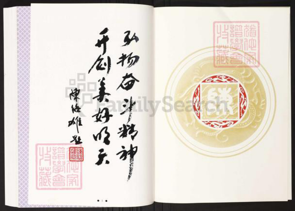 广东省梅州市丰顺县陈氏族谱-丰顺县八乡陈氏族谱.pdf电子版插图2