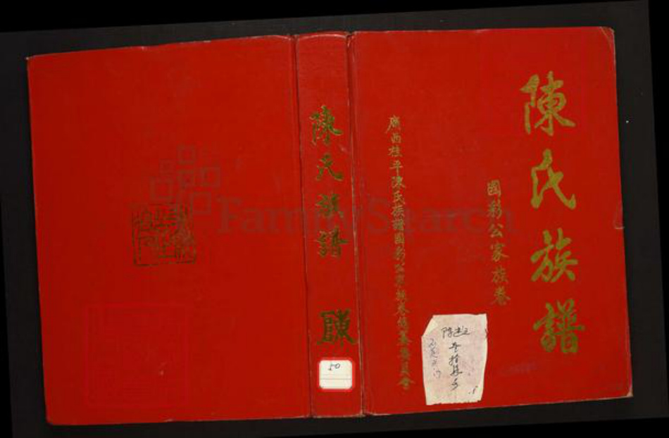 广西壮族自治区玉林桂平陈氏族谱-陈氏族谱.国彩公家族卷.pdf电子版插图