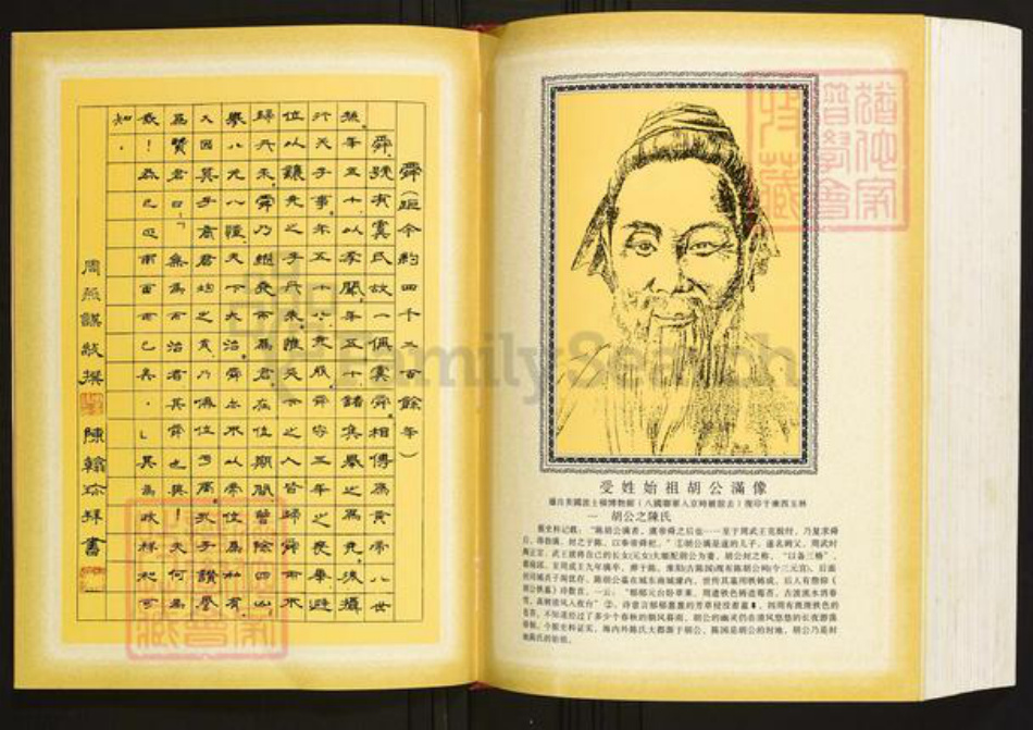 广西壮族自治区玉林桂平陈氏族谱-陈氏族谱.国彩公家族卷.pdf电子版插图5