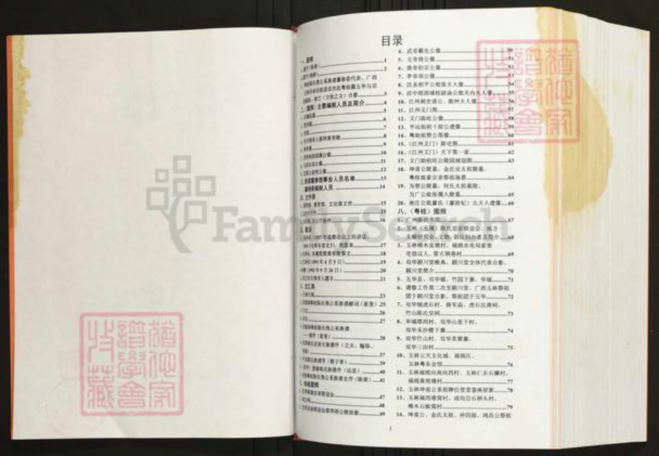 广西壮族自治区玉林兴业县陈氏族谱-陈氏族谱.粤桂俛公支系.pdf电子版插图2