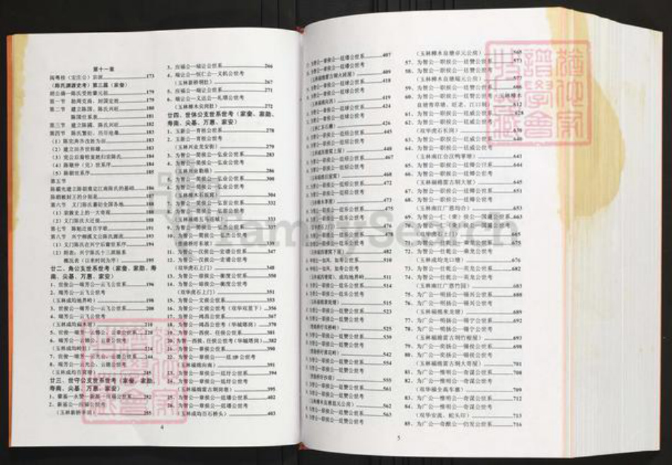 广西壮族自治区玉林兴业县陈氏族谱-陈氏族谱.粤桂俛公支系.pdf电子版插图4