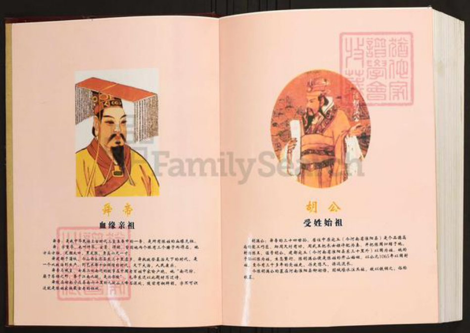 江西省赣州市寻乌县陈氏族谱-陈氏族谱.寻乌·到狮角.pdf电子版插图2