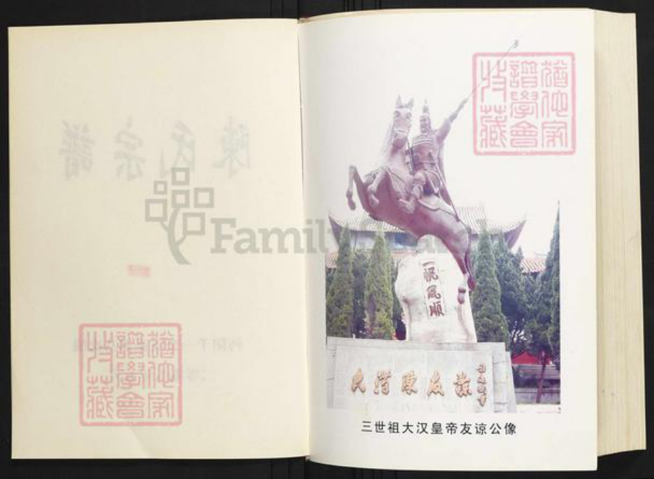 湖北省荆州市洪湖市陈氏族谱-陈氏家谱.pdf电子版插图2