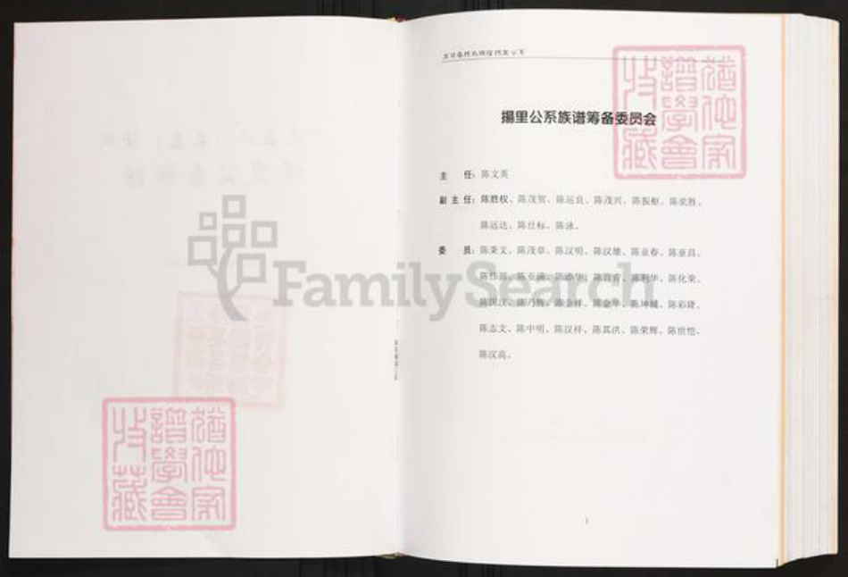 广东省梅州市五华县陈氏族谱-广东五华(长乐)陈氏.扬里公系族谱.pdf电子版插图2