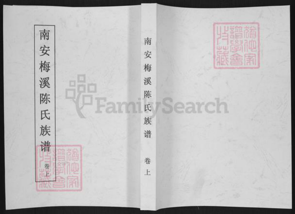 福建省泉州市南安市洪梅镇陈氏族谱-南安梅溪陈氏族谱.pdf电子版插图