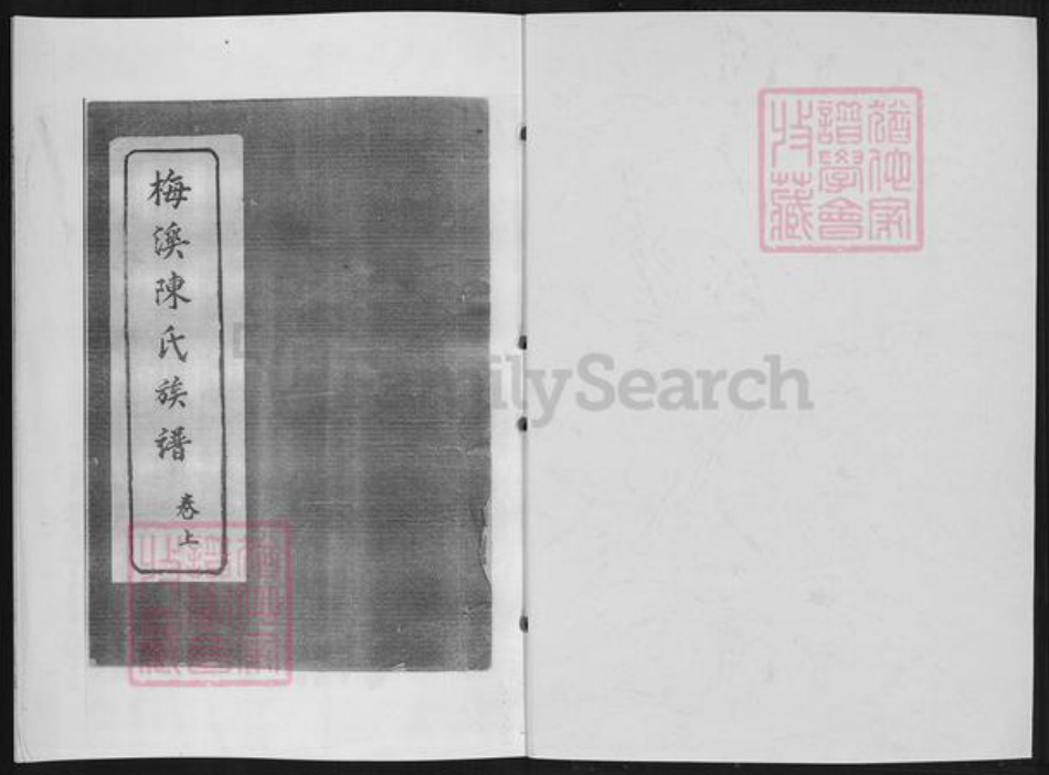 福建省泉州市南安市洪梅镇陈氏族谱-南安梅溪陈氏族谱.pdf电子版插图1