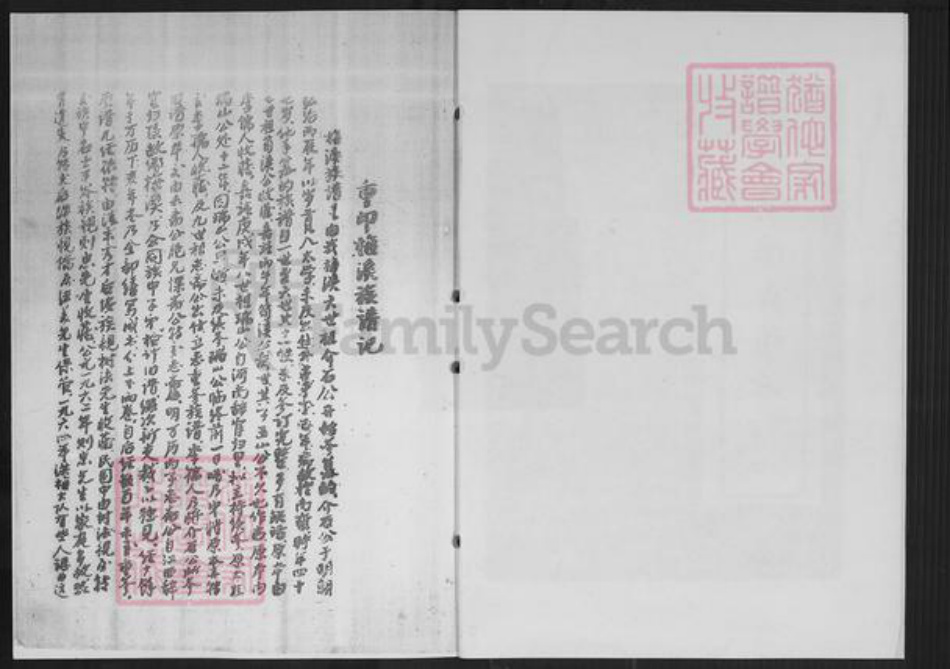 福建省泉州市南安市洪梅镇陈氏族谱-南安梅溪陈氏族谱.pdf电子版插图2