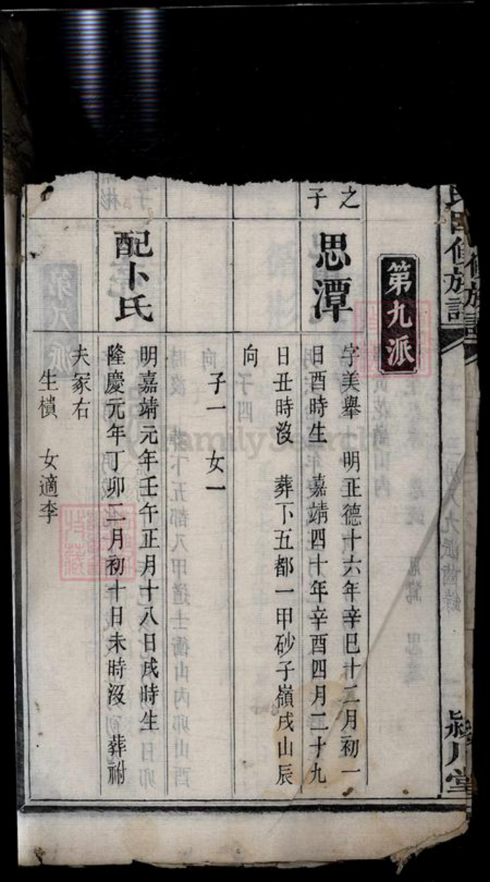 湖南省湘潭市湘潭县陈氏族谱-湘中陈氏四修族谱[22卷].pdf电子版插图4