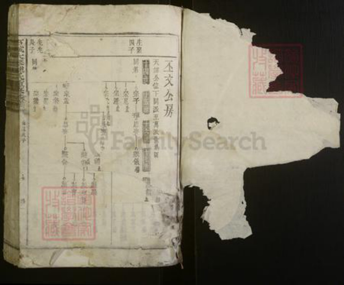 江西省赣州市石城县陈氏族谱-石城大琴陈氏重修族谱.pdf电子版插图1
