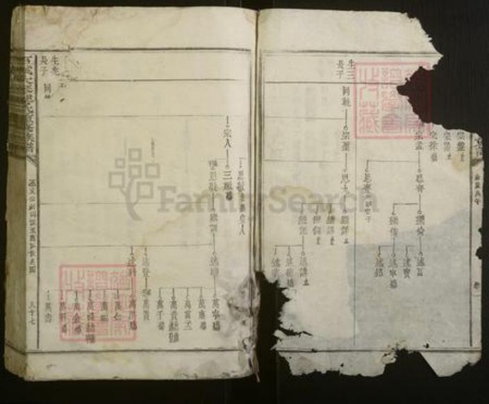 江西省赣州市石城县陈氏族谱-石城大琴陈氏重修族谱.pdf电子版插图2