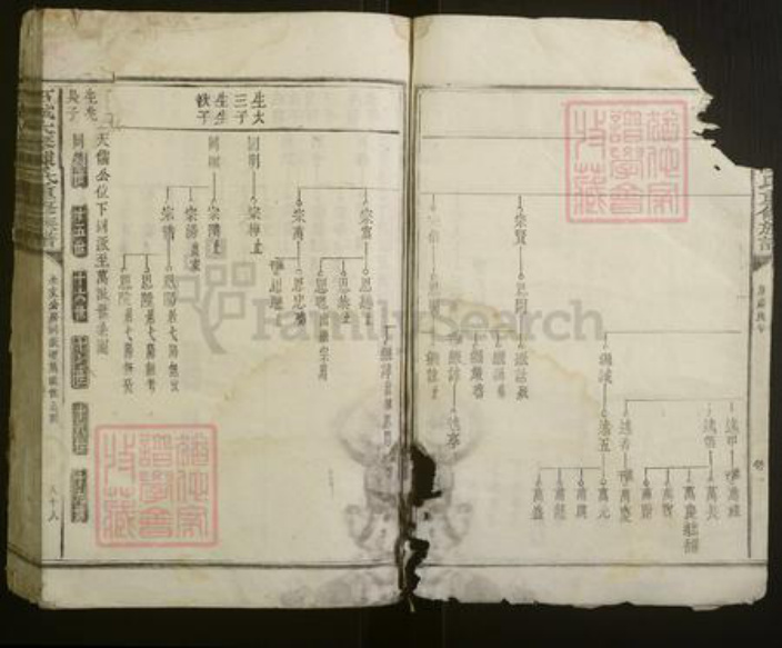江西省赣州市石城县陈氏族谱-石城大琴陈氏重修族谱.pdf电子版插图3