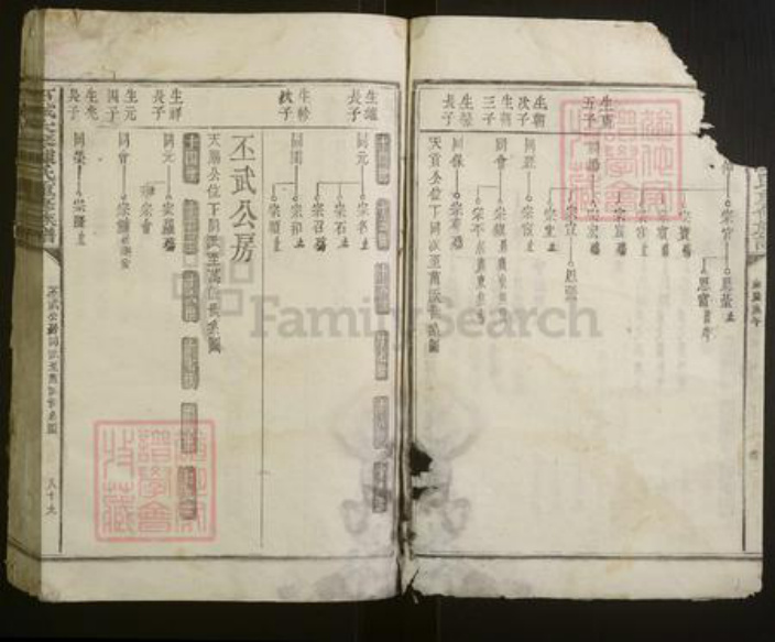 江西省赣州市石城县陈氏族谱-石城大琴陈氏重修族谱.pdf电子版插图4