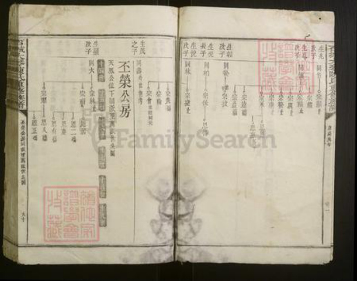 江西省赣州市石城县陈氏族谱-石城大琴陈氏重修族谱.pdf电子版插图5