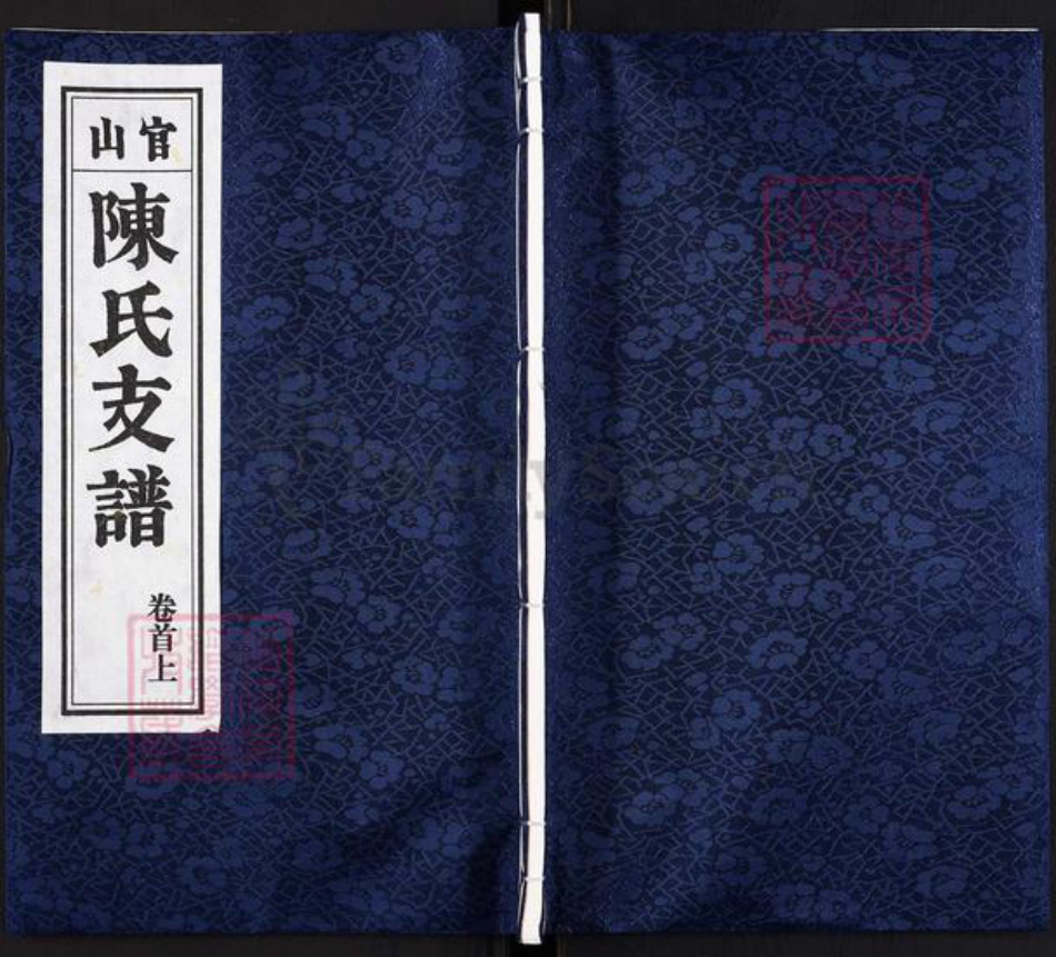 安徽省安庆市桐城市陈氏族谱-陈氏支谱[10卷首2卷].pdf电子版插图