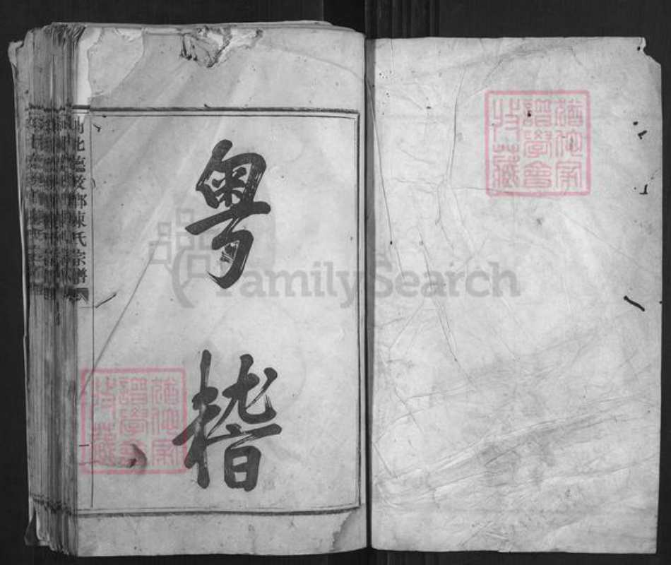 浙江省绍兴嵊州市陈氏族谱-剡北德政乡陈氏宗谱[不分卷].pdf电子版插图1