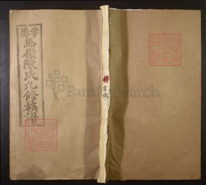 江西省陈氏族谱-雩阳马岭陈氏九修族谱[不分卷].pdf电子版插图