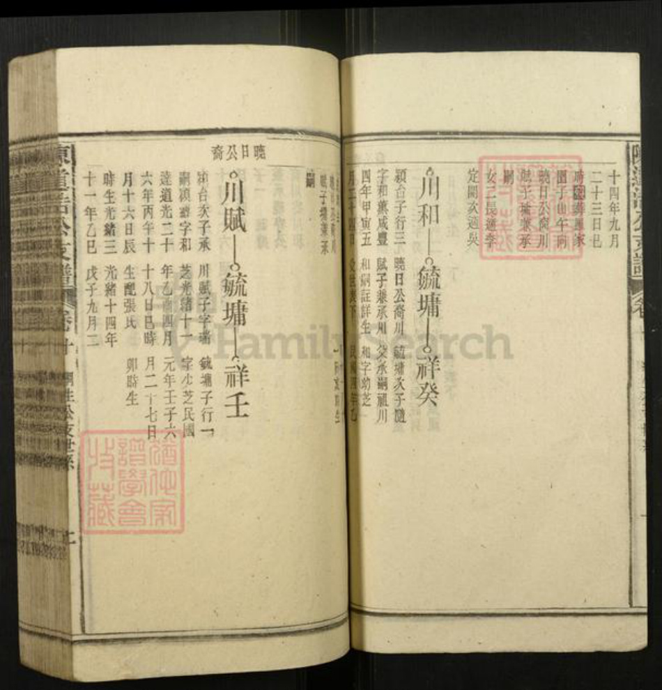 安徽省安庆市宿松县陈氏族谱-陈道浣涧渲公支谱.pdf电子版插图2