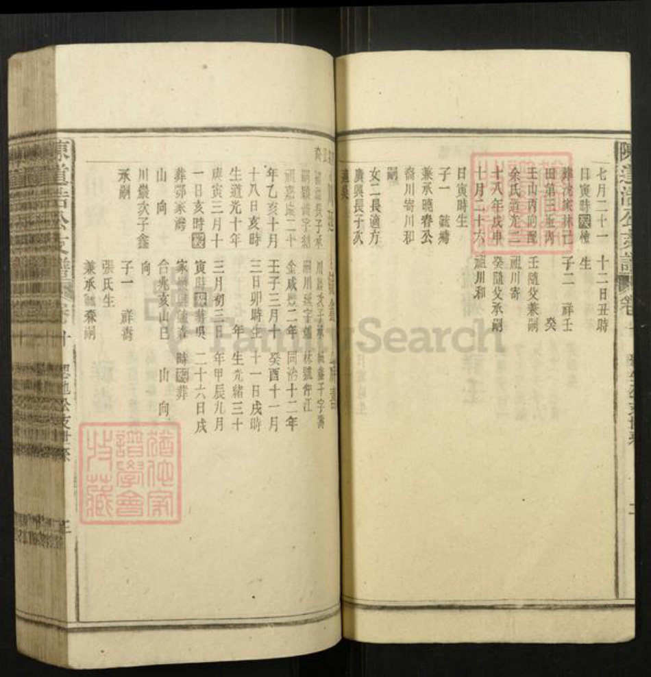 安徽省安庆市宿松县陈氏族谱-陈道浣涧渲公支谱.pdf电子版插图3