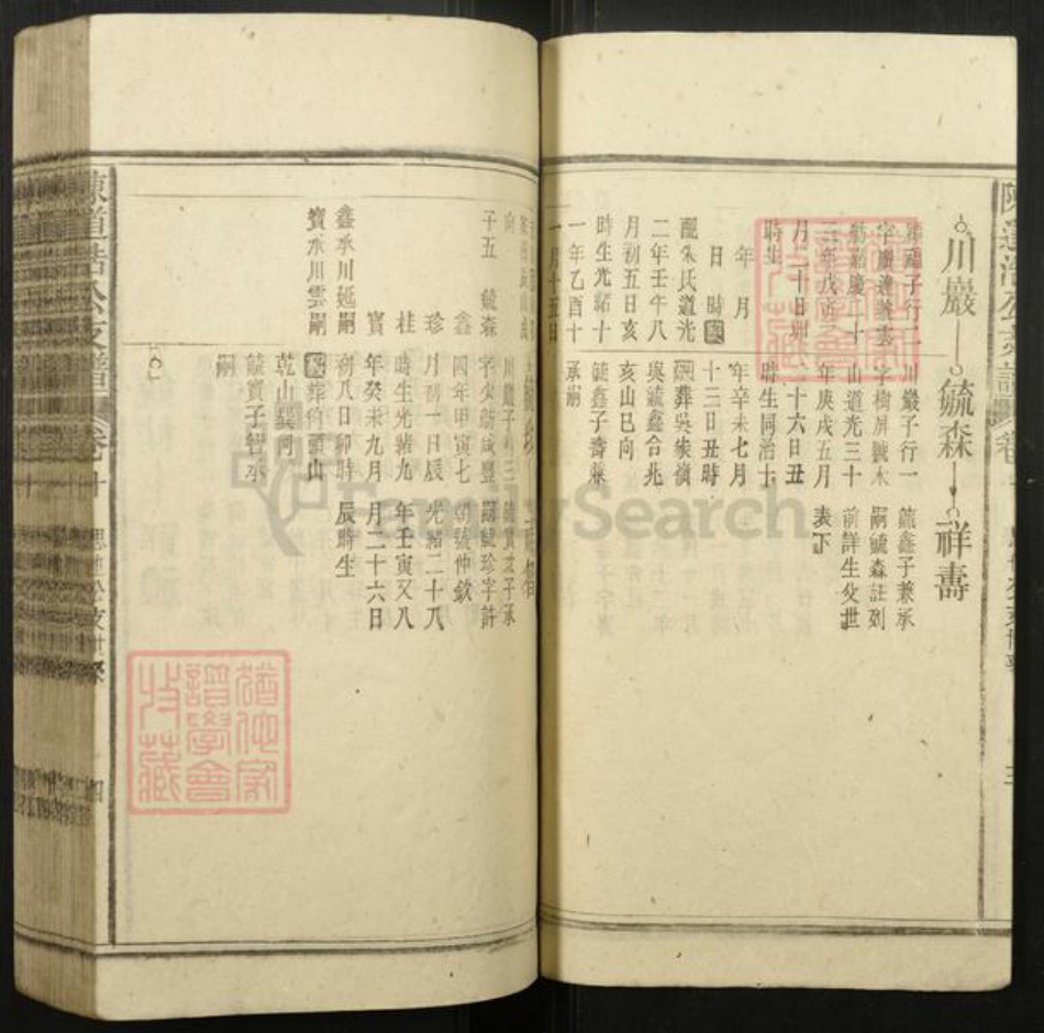 安徽省安庆市宿松县陈氏族谱-陈道浣涧渲公支谱.pdf电子版插图4