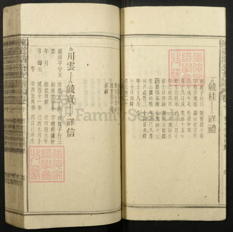 安徽省安庆市宿松县陈氏族谱-陈道浣涧渲公支谱.pdf电子版插图5