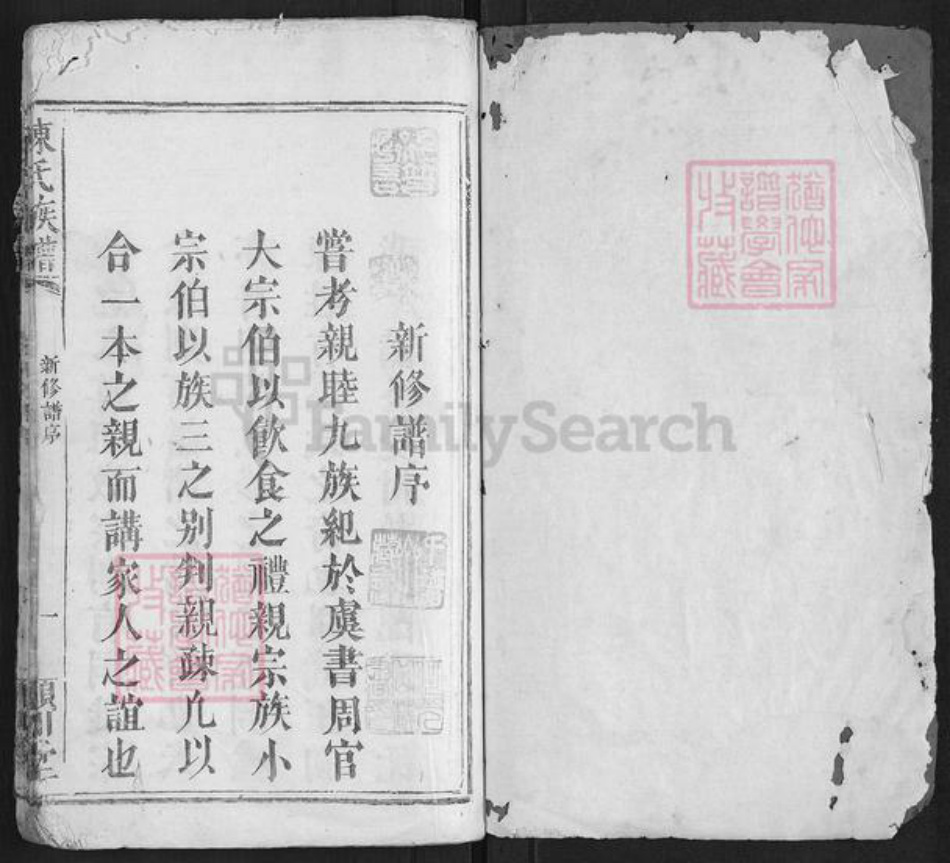 湖南省长沙市浏阳市浏阳陈氏族谱-陈氏族谱[不分卷].pdf电子版插图1