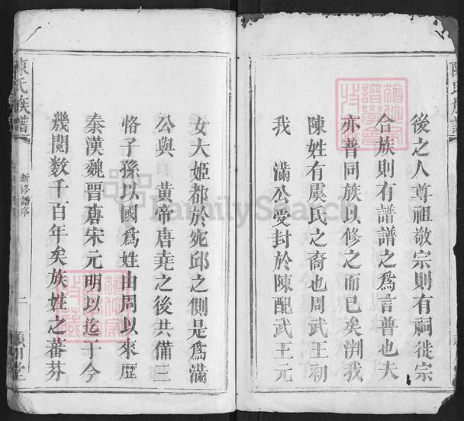 湖南省长沙市浏阳市浏阳陈氏族谱-陈氏族谱[不分卷].pdf电子版插图2