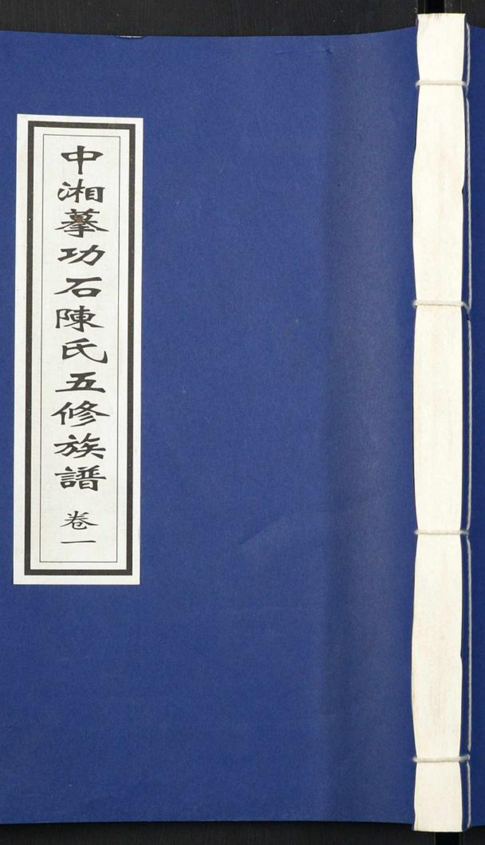 湖南省湘潭市陈氏族谱-中湘摹功石陈氏五修族谱[28卷].pdf电子版插图