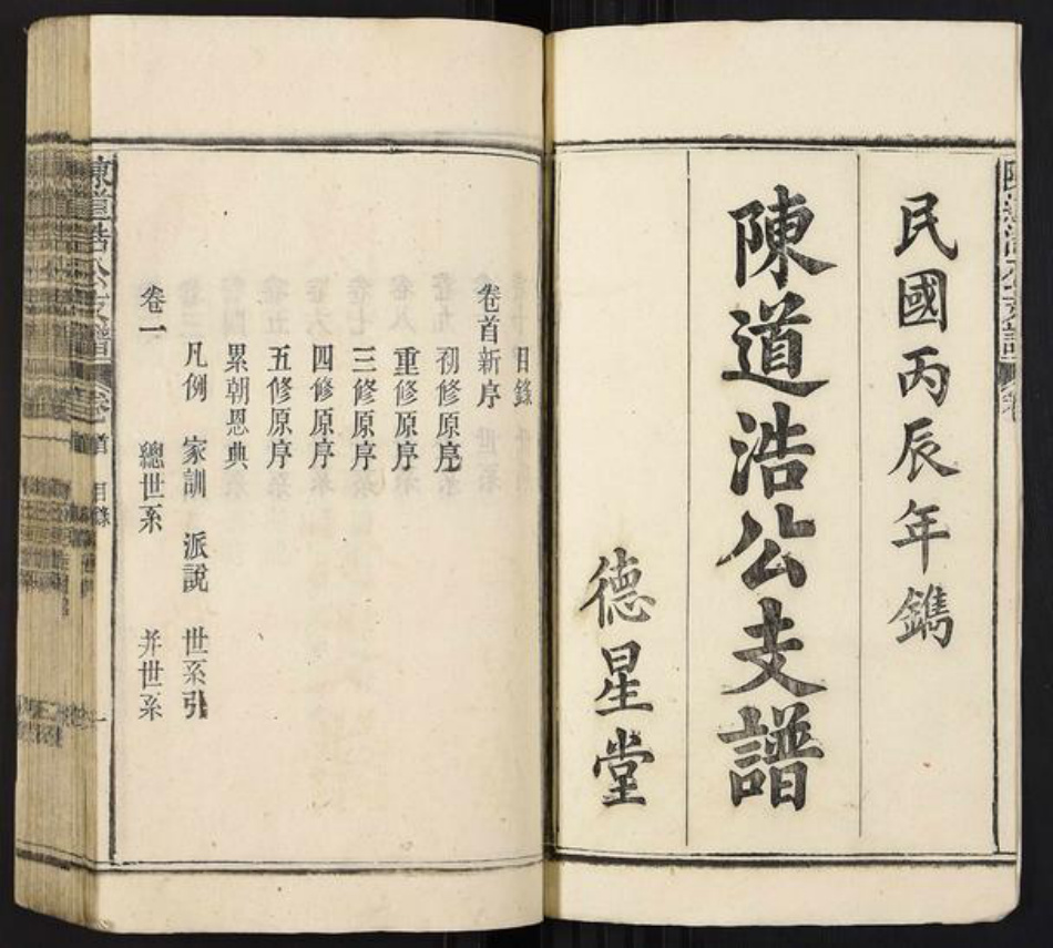 安徽省安庆市宿松县陈氏族谱-陈道浩公支谱[19卷首1卷].pdf电子版插图1