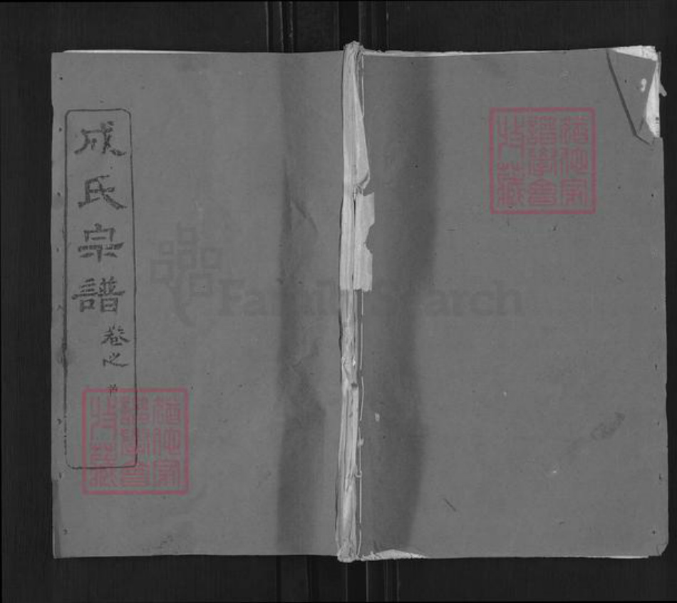 湖北省武汉市新洲区成氏亲睦堂族谱-成氏宗谱.pdf电子版插图