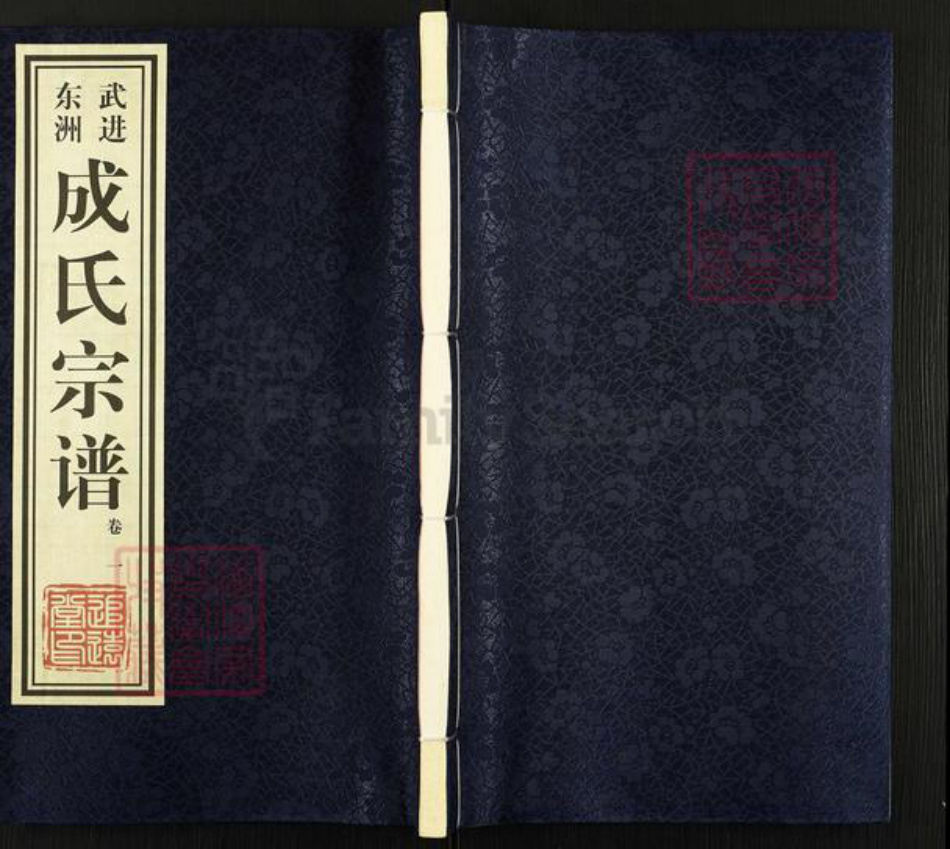 江苏省常州市武进县成氏追远堂族谱-成氏宗谱.pdf电子版