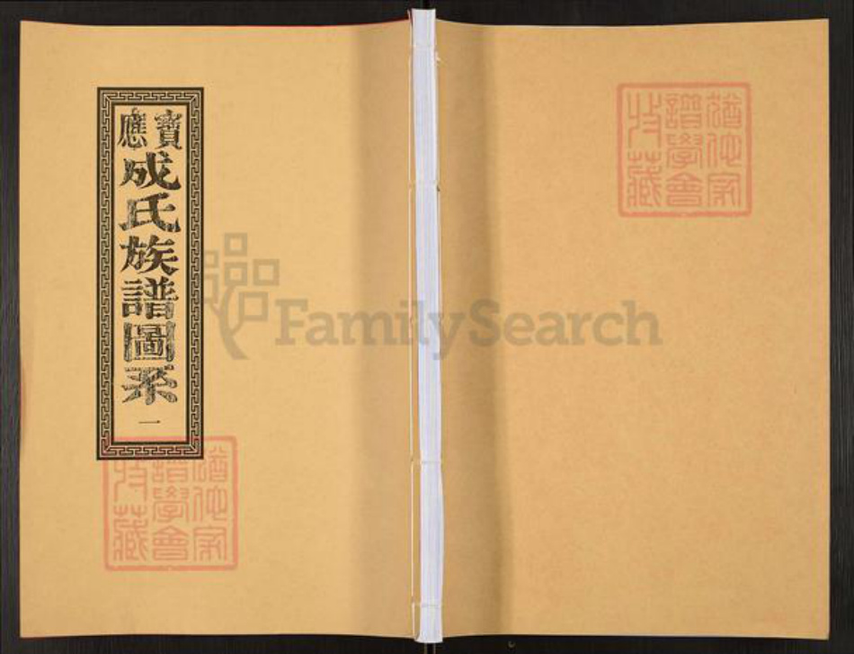 江苏省扬州市宝应县泛水镇成氏族谱-宝应成氏族谱图系.pdf电子版插图