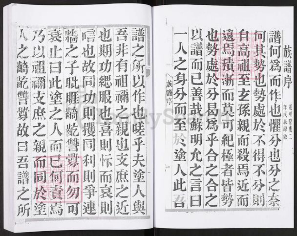 江苏省扬州市宝应县泛水镇成氏族谱-宝应成氏族谱图系.pdf电子版插图3