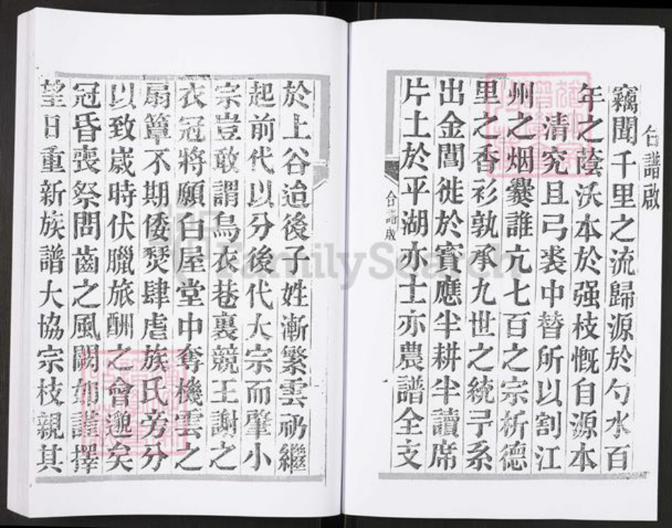 江苏省扬州市宝应县泛水镇成氏族谱-宝应成氏族谱图系.pdf电子版插图5