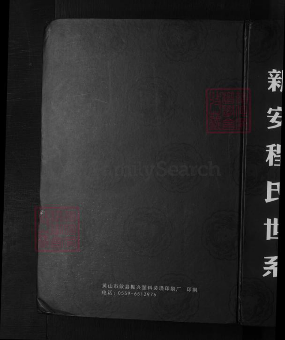安徽省黄山市歙县程氏族谱-新安程氏世系.pdf电子版插图