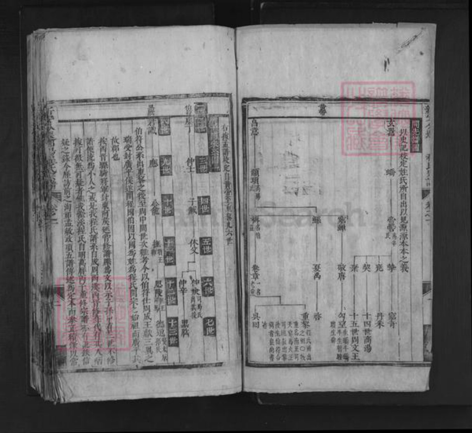 江西省上饶市鄱阳县程氏族谱-新安分迁鄱阳程氏宗谱.pdf电子版插图2