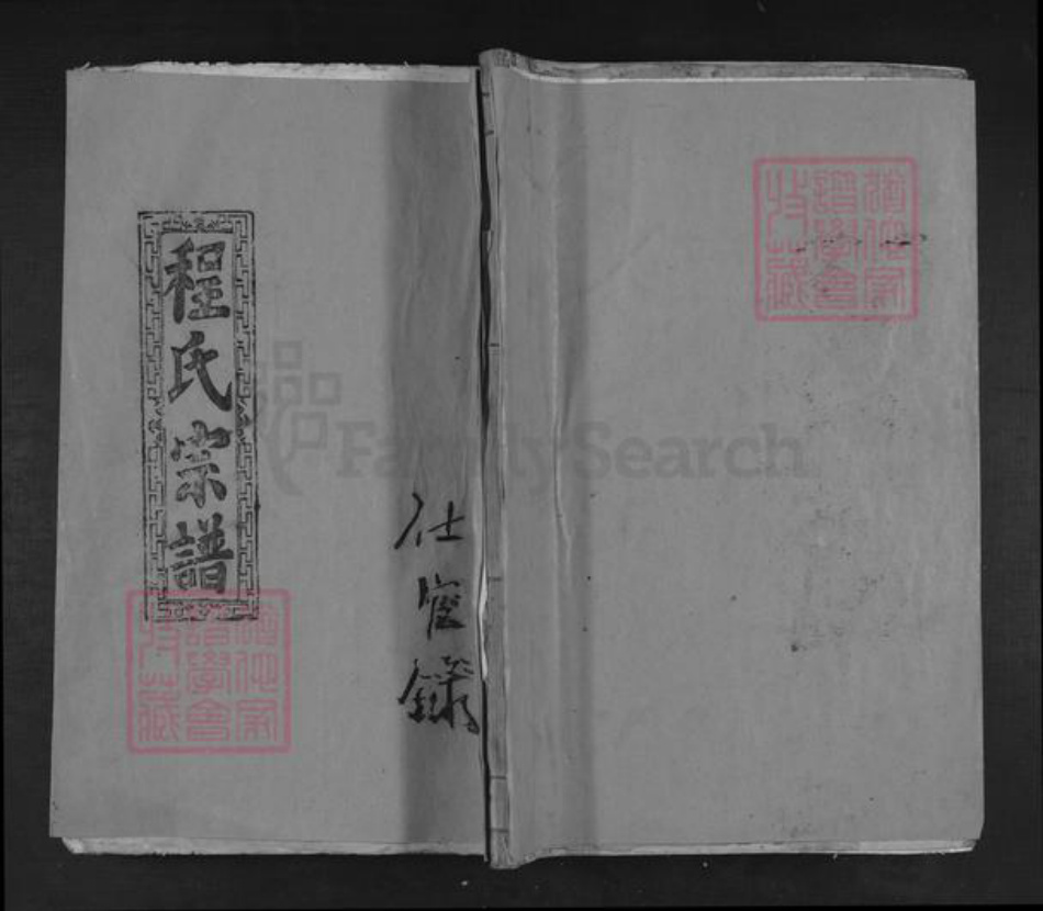 江西省九江市湖口县马影镇程氏族谱-程氏统修大成宗谱.pdf电子版插图