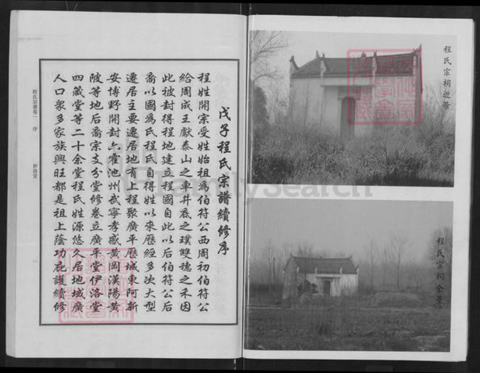 湖北省武汉市新洲区程氏伊洛堂族谱-程氏宗谱.pdf电子版插图3
