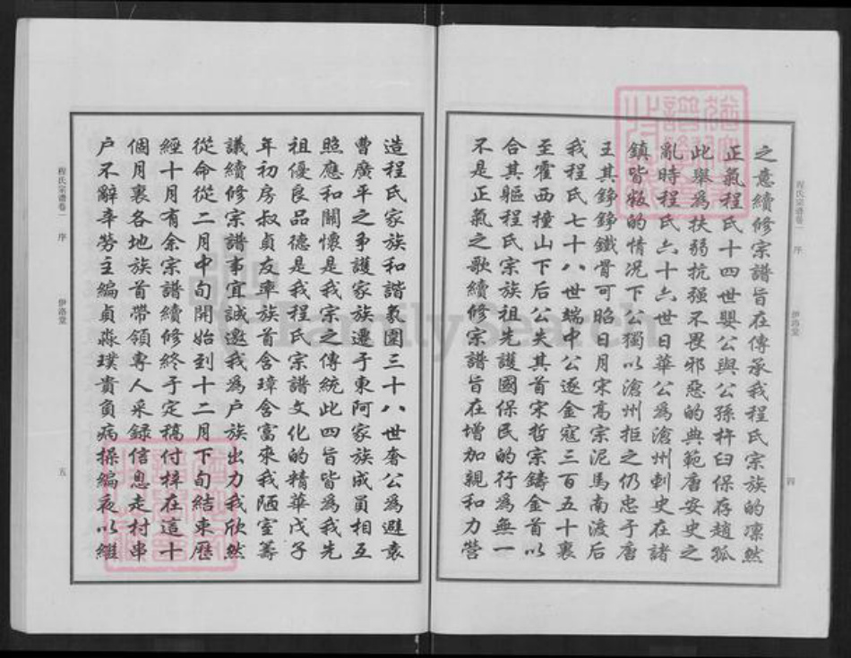 湖北省武汉市新洲区程氏伊洛堂族谱-程氏宗谱.pdf电子版插图5