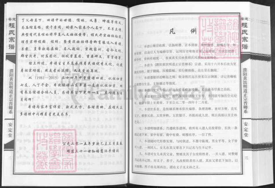 河南省濮阳市华龙区王助镇程氏安定堂族谱-安定程氏宗谱.濮阳黄滨明道正宗晋卿系.pdf电子版插图3