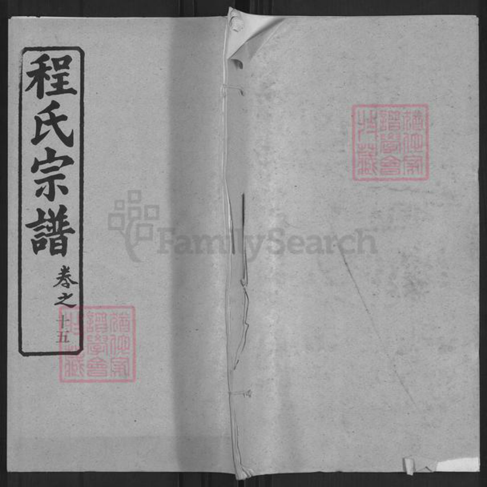 湖北省黄冈市浠水县散花镇程氏耀先堂族谱-程氏宗谱.pdf电子版插图