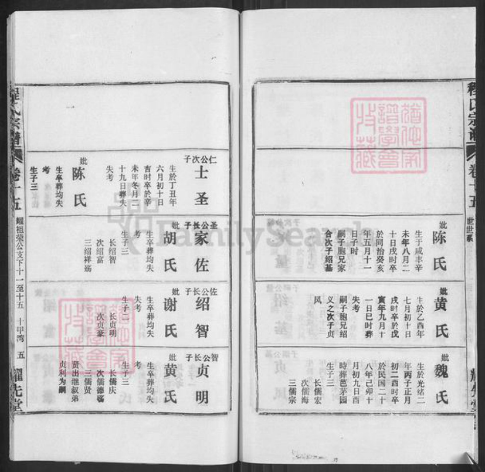 湖北省黄冈市浠水县散花镇程氏耀先堂族谱-程氏宗谱.pdf电子版插图5
