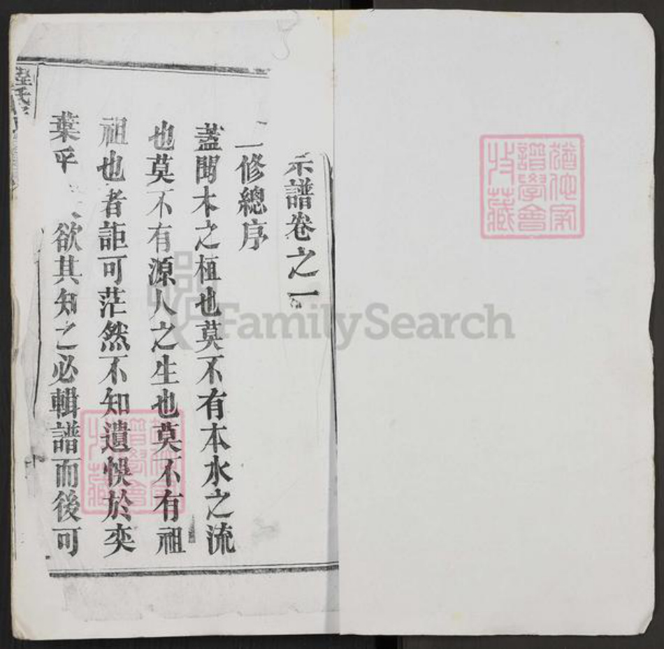 湖北省黄冈市麻城市白果镇程氏族谱-花山程氏宗谱.pdf电子版插图1