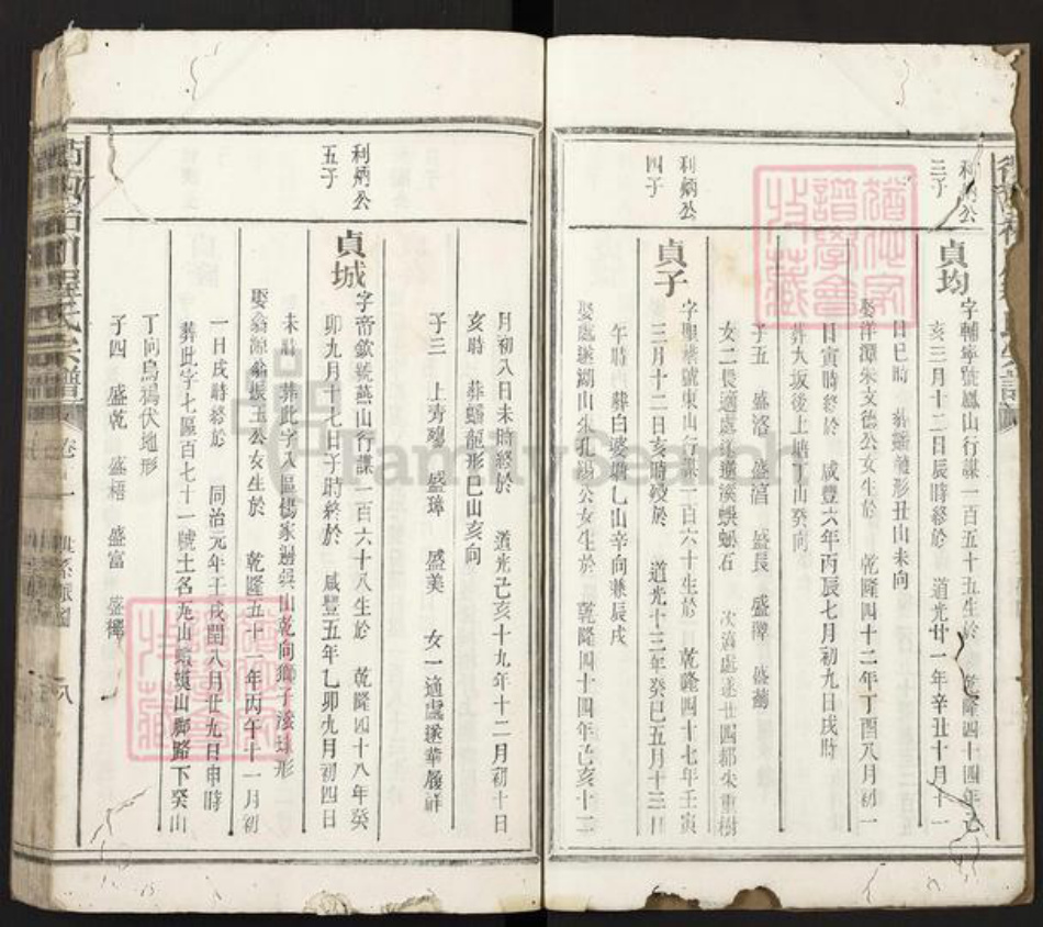 浙江省衢州柯城区程氏族谱-衢西柘川程氏宗谱.pdf电子版插图4