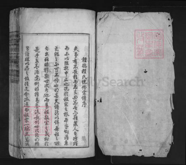 江西省上饶市婺源县程氏族谱-种德程氏宗谱.pdf电子版插图1